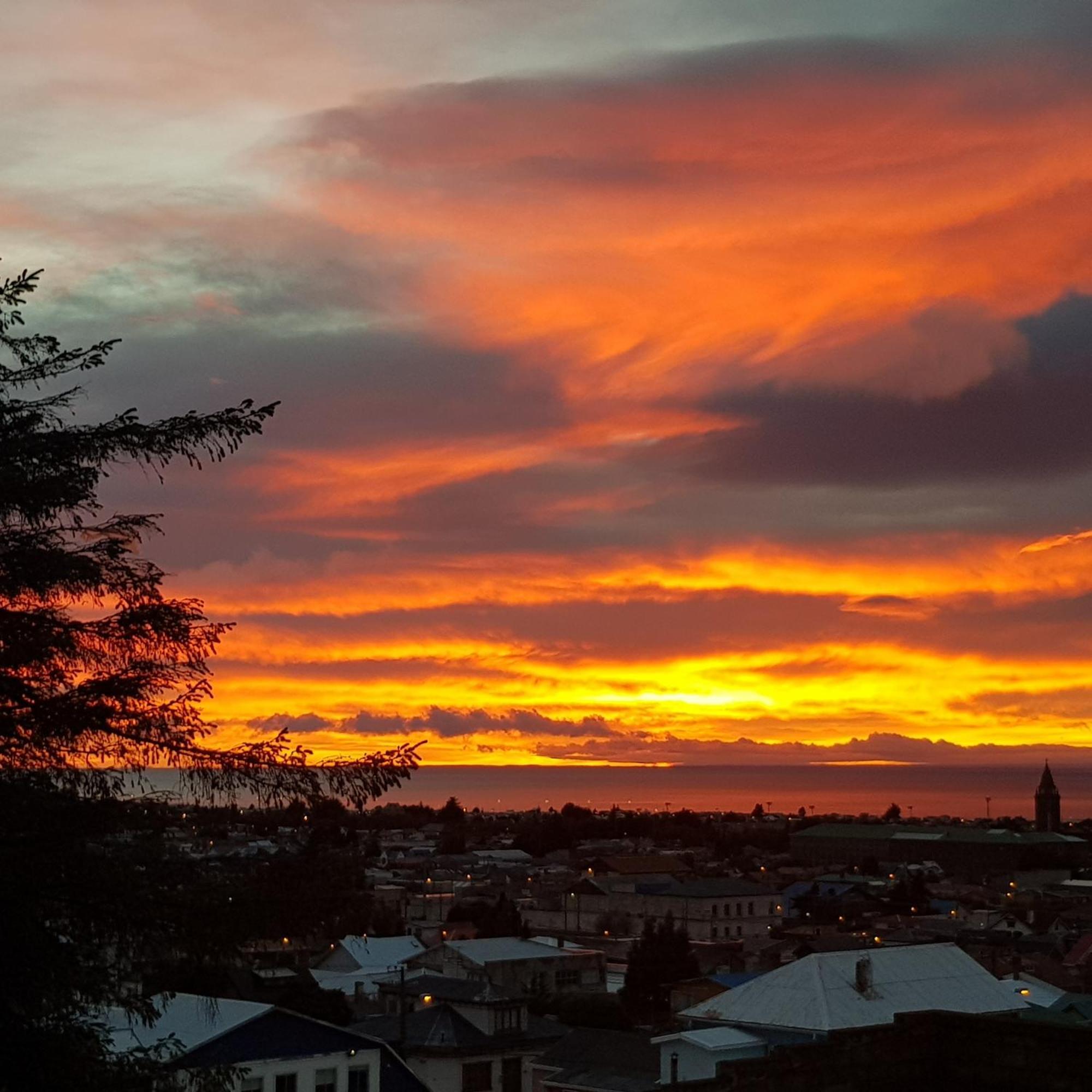Hostal Buenavista Patagonia Punta Arenas Dış mekan fotoğraf