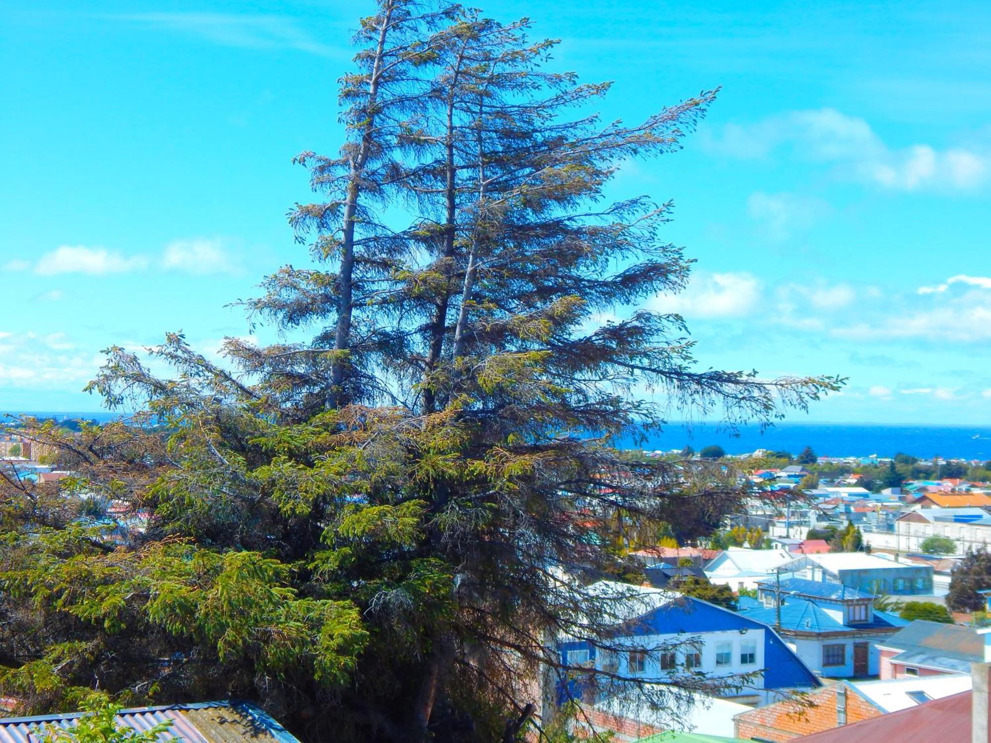 Hostal Buenavista Patagonia Punta Arenas Dış mekan fotoğraf